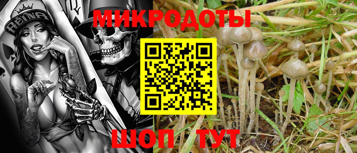 Галлюциногенные грибы ЛСД  Вход с VPN  Красноперекопск 