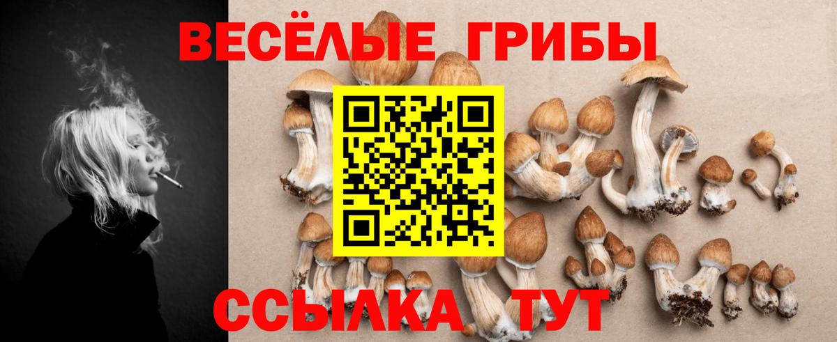Псилоцибиновые грибы Psilocybine cubensis Красноперекопск